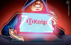 Kelp yeniden alım platformu istismar edildi, saldırıda 293 milyon dolar harcandı