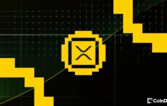 Bitcoin sürüklenirken XRP, Plazma ve DOGE’ye dikkat edin