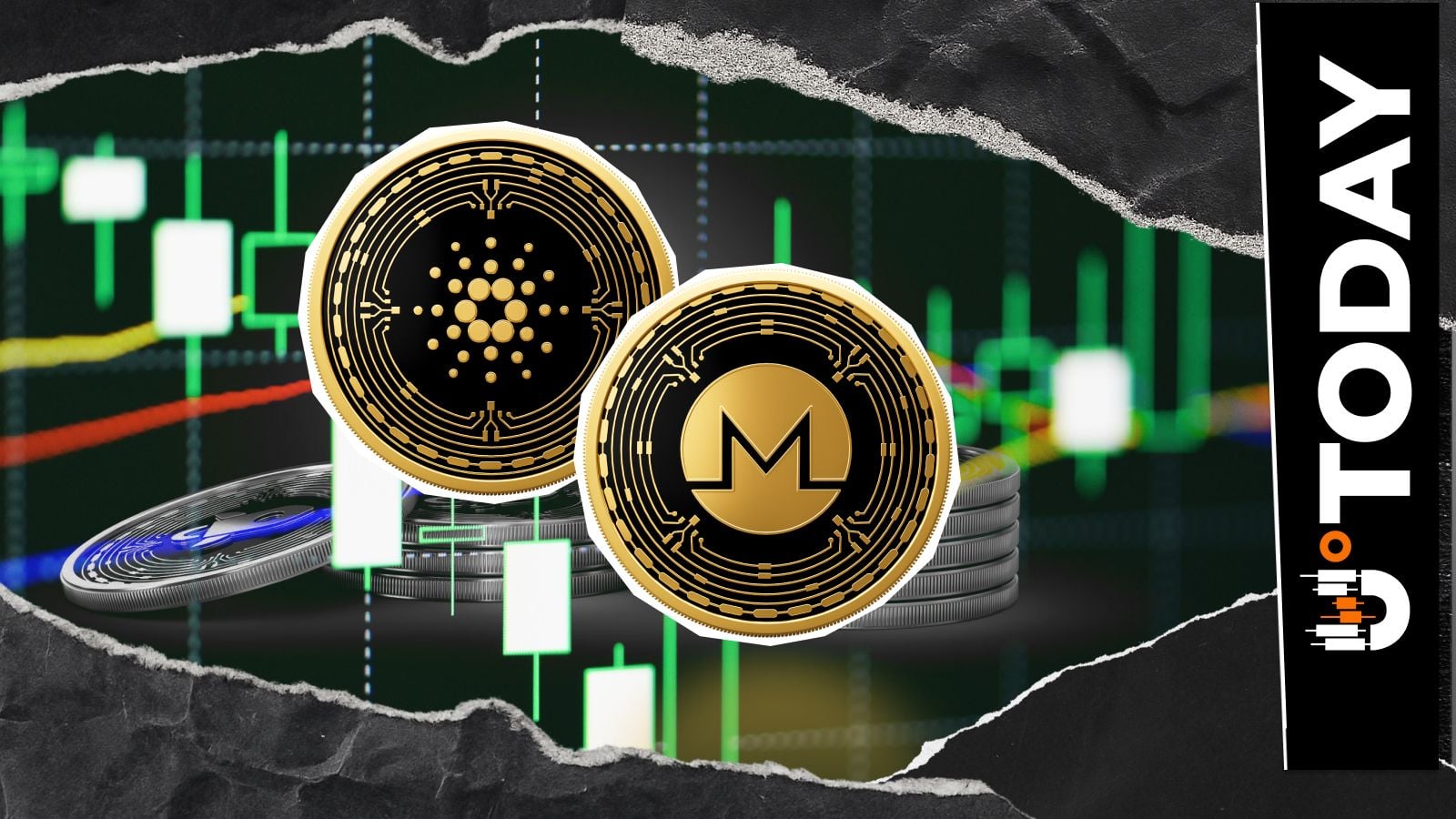 Cardano and Monero (XMR) in Tussle for Crypto Ranking, Who Will End up Ahead? | Kripto Haberleri