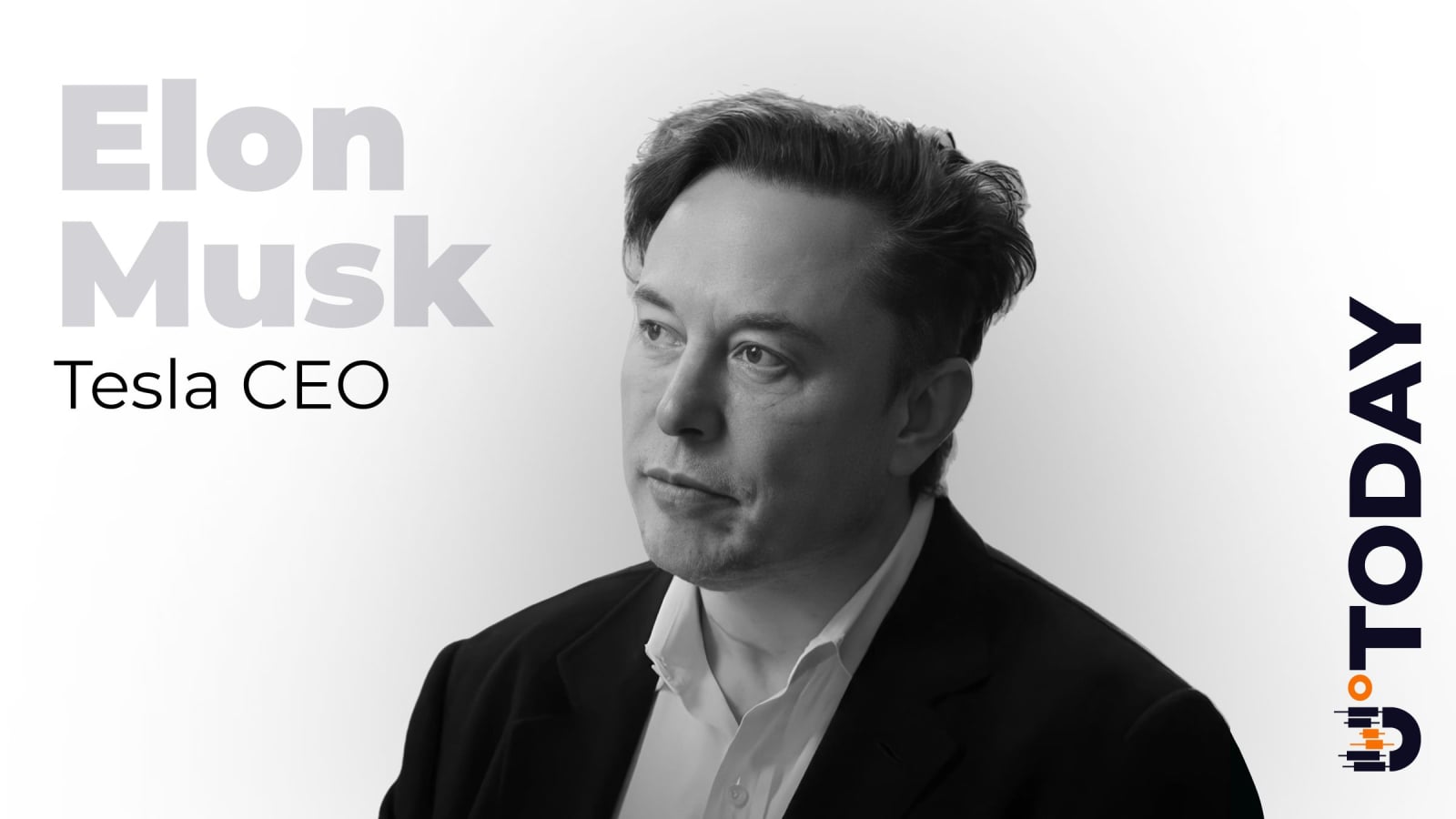 Elon Musk’s X to Take Drastic Measures Against Crypto Scam | Kripto Haberleri
