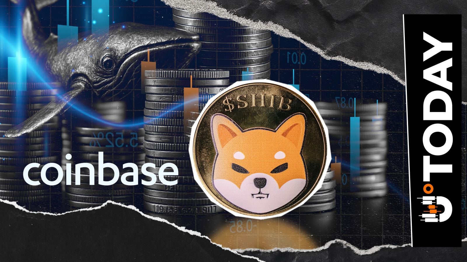 Top Shiba Inu (SHIB) Whale Deposits 240 Billion Tokens to Coinbase After Recent Leadership Posts | Kripto Haberleri