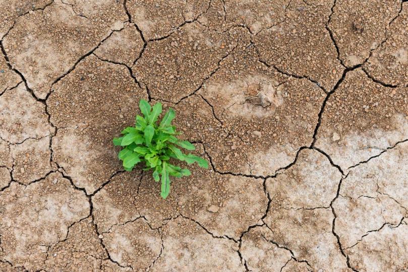 DeFi’nin sarsılması bir ölüm cezası değil, bir stres testidir