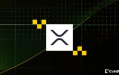 Sarılmış XRP, Solana’da yayına girerek Ripple bağlantılı token için DeFi erişimini genişletiyor