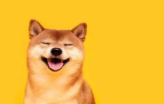 Dogecoin %10 yakınlaşarak açık faizin yıllık zirveye ulaşmasıyla Bitcoin’den koptu