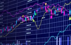 Fidelity Digital Assets, Bitcoin’in kripto pazarı istikrarına öncülük ettiğini söylüyor