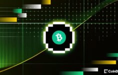 Bitcoin 80.000 dolarda duvara çarptı, bir analist geri çekilmenin geçici olduğunu söylüyor