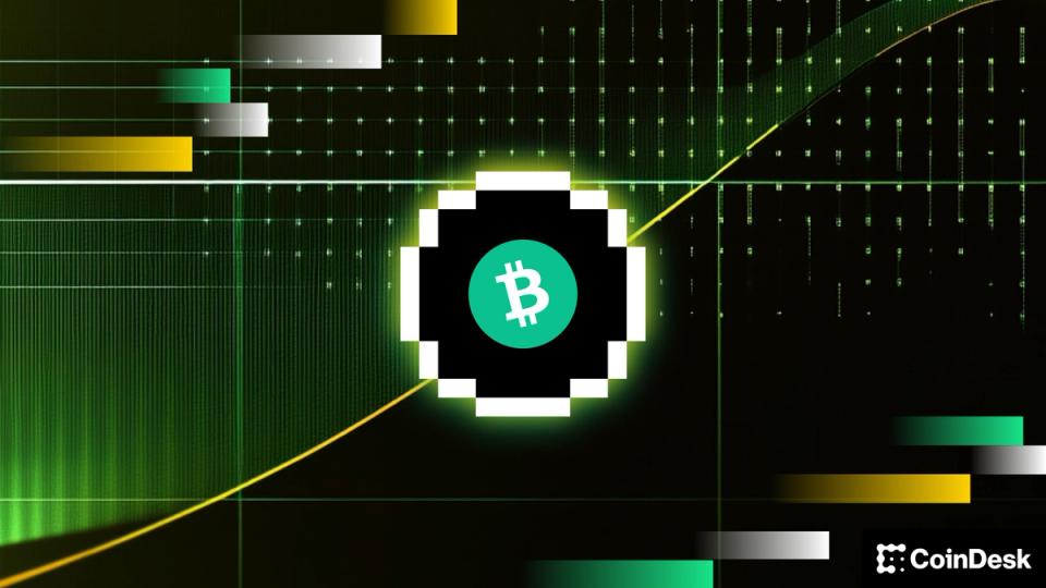 Bitcoin 80.000 dolarda duvara çarptı, bir analist geri çekilmenin geçici olduğunu söylüyor