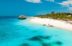 Kripto fon yöneticisi, nişanlısının Zanzibar’daki şüpheli ölümünü araştırdı