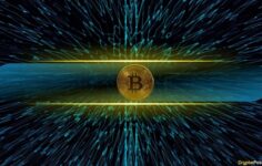 Bitcoin Network Activity Jumps Higher, Will BTC Prices Follow?  | Kripto Haberleri