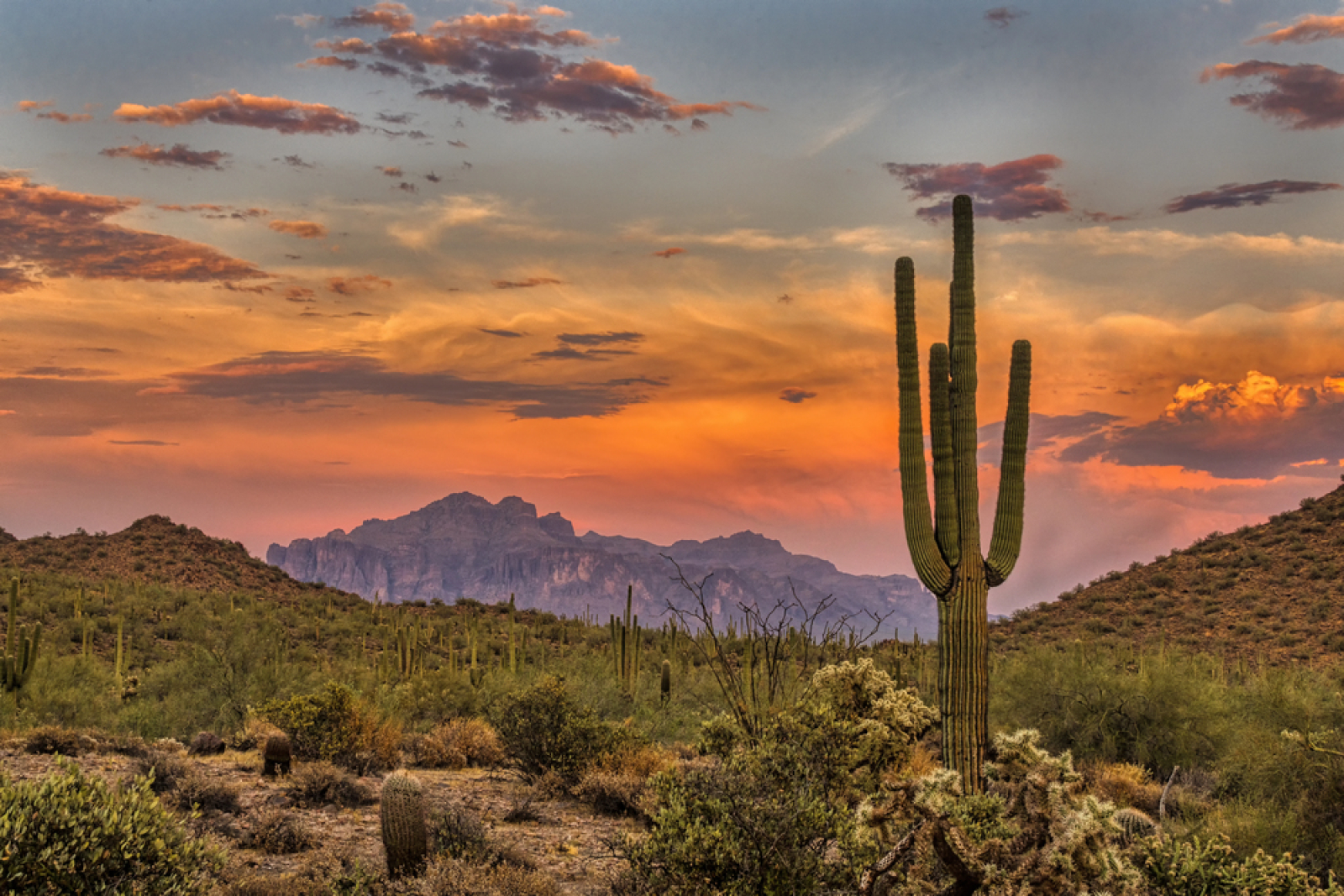 Arizona Bitcoin Bill Nearing Final Vote, But It’s Too Early to Celebrate | Kripto Haberleri