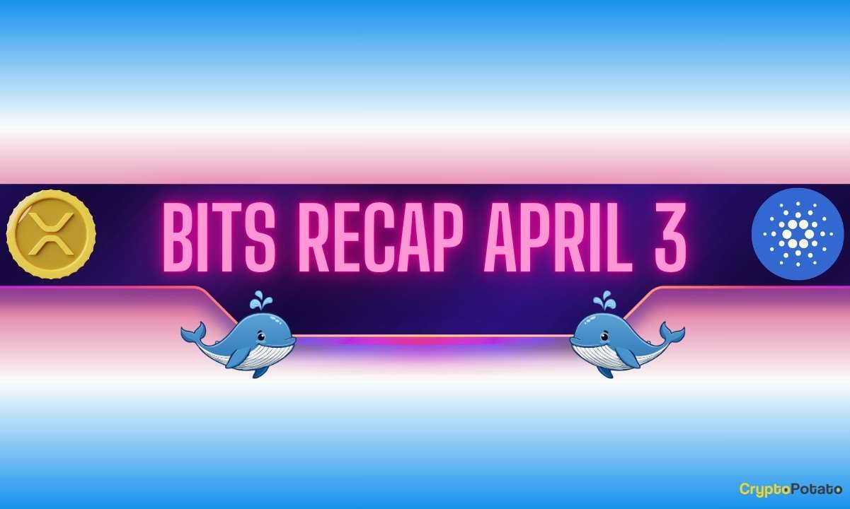 Ripple and Cardano Whales Woke up, Binance Unveiled Important Updates: Bits Recap April 3 | Kripto Haberleri