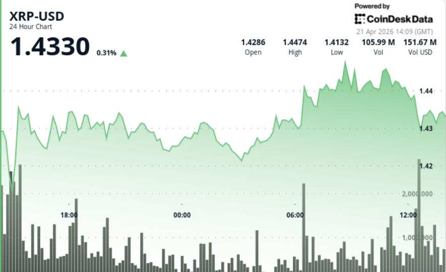 XRP, kırılma arttıkça 1,44 dolara tırmanıyor, kuantum yol haritası uzun vadeli bir rüzgar ekliyor
