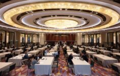 Yapay zeka temsilcileri ve stablecoin transferleri alamıyor musunuz? CoinDesk Üniversitesi’ne kaydolun