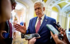 Açıklık Yasası’nın bir sonraki hamlesine ilişkin kartlarını elinde bulunduran ABD’li senatör, duruşmaya hazır olduğunu söyledi