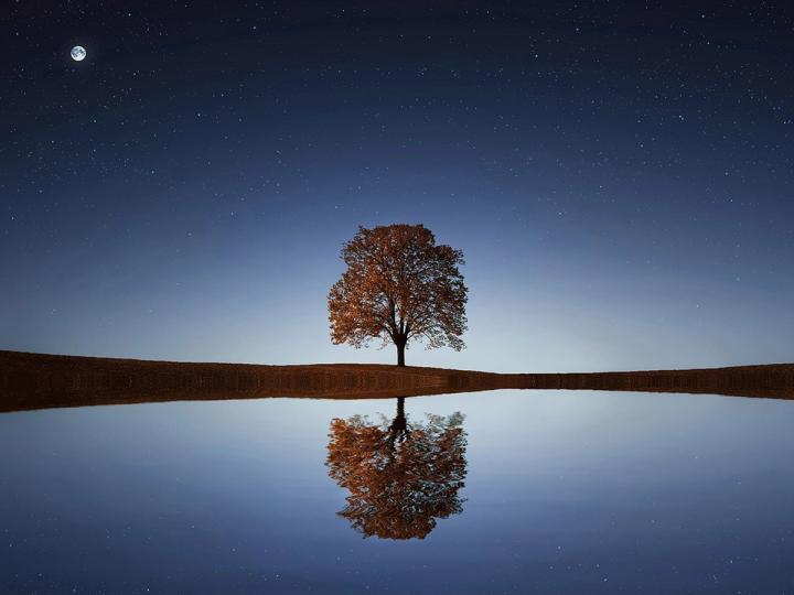 Bitcoin şu anda Güney Kore borsasından daha sakin. İşte bu yüzden önemli