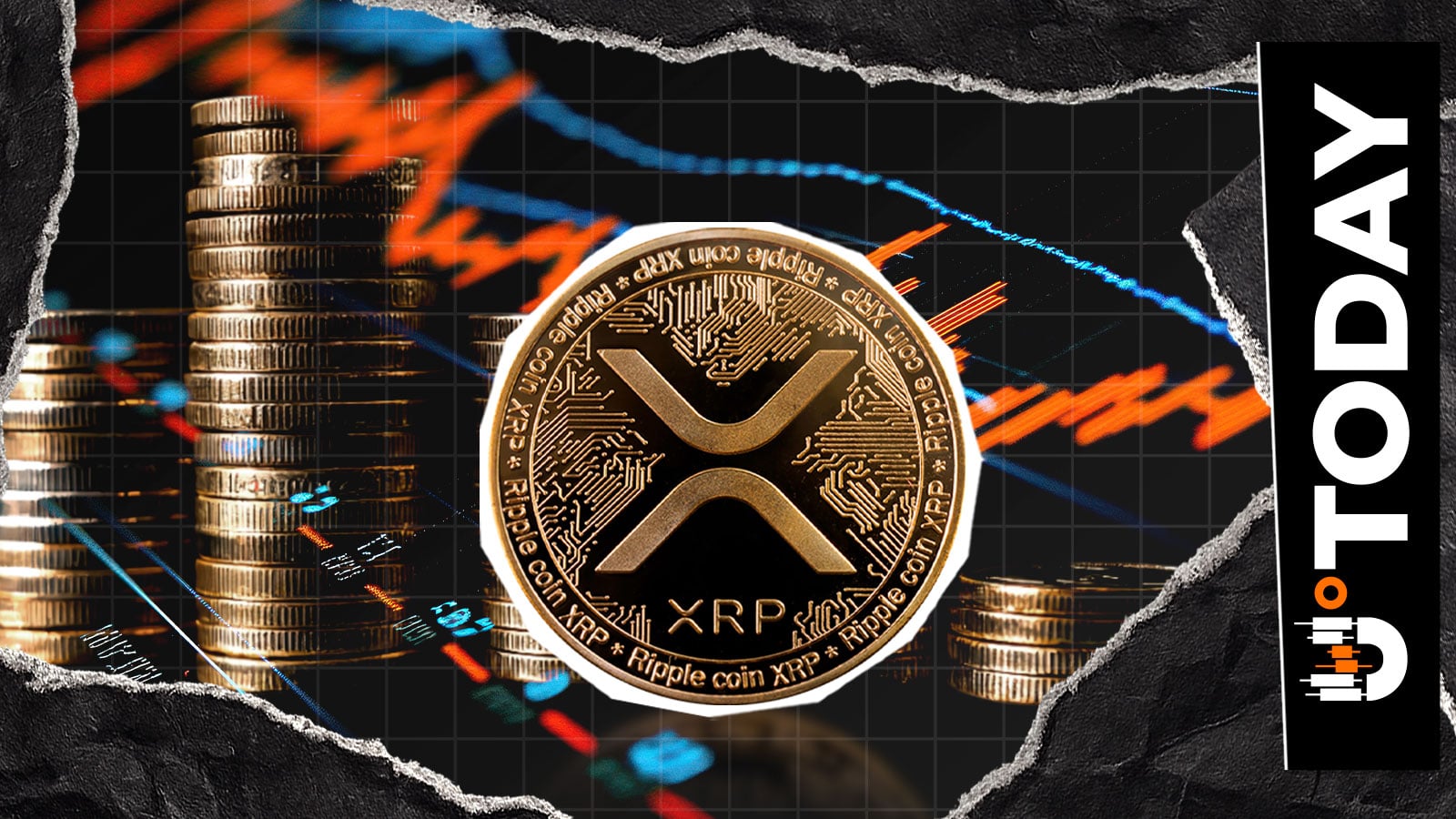 XRP Supply In Profit Drops To Lowest Level Since July 2024 | Kripto Haberleri