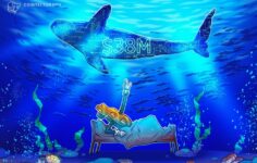 Hiper sıvı balinanın Bitcoin’e karşı 38 milyon dolar açığı var, peki bu önemli mi?