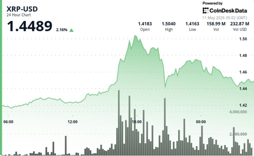 XRP %2,5 artışla Bitcoin ve Ethereum’u geride bırakarak 1,45 doların üzerine çıktı