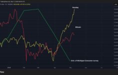 Bitcoin ve Nasdaq yatırımcıları kutlama yaparken ABD tüketicileri karamsarlaşıyor