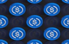 Yeni başlayanlar için stabilcoin kılavuzu
