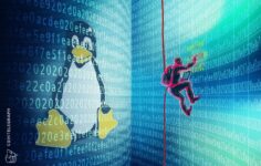 ABD CISA, izleme listesine ‘çılgın’ Linux Kopyalama Başarısızlığı kusurunu ekledi