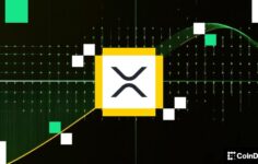 Spot XRP ETF’leri Ocak ayından bu yana en büyük girişi çekiyor