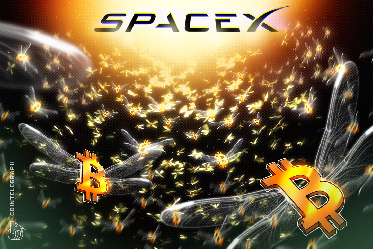SpaceX, halka arz başvurusunda beklenenden daha büyük Bitcoin varlıklarını ortaya çıkardı