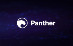 Panther Protokolü, Polygon’da gizlilik altyapısını dağıtıyor