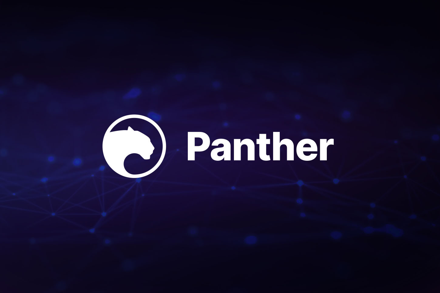Panther Protokolü, Polygon’da gizlilik altyapısını dağıtıyor