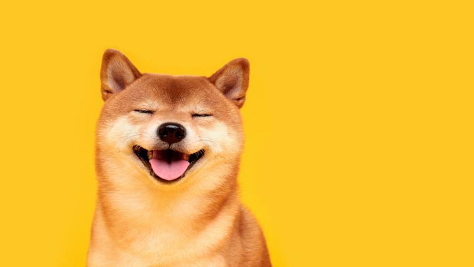 Bitcoin 60.000 dolara yaklaşırken Memecoins dogecoin ve shiba inu %9 düşüş yaşadı
