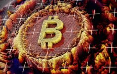 Bitcoin’in katı fanları neden 200 milyar doları silip süpüren devasa fiyat çöküşünü terletmiyor?
