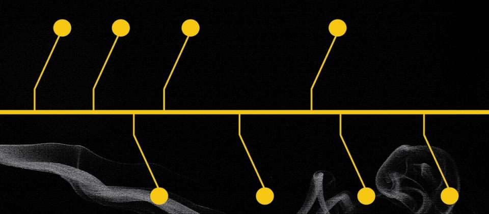 Ethereum Vakfı’nın devam eden sarsıntısının zaman çizelgesi