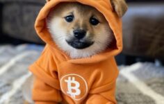 KÖPEK Modu ve BIP-110: Veri kısıtlamalarını aşmak için oluşturulmuş Bitcoin istemcisinin içi