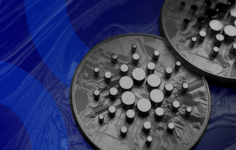 Cardano, Topluluk Tarafından Oylanan İlk Yükseltmeyle Hard Fork’u Tetikledi
