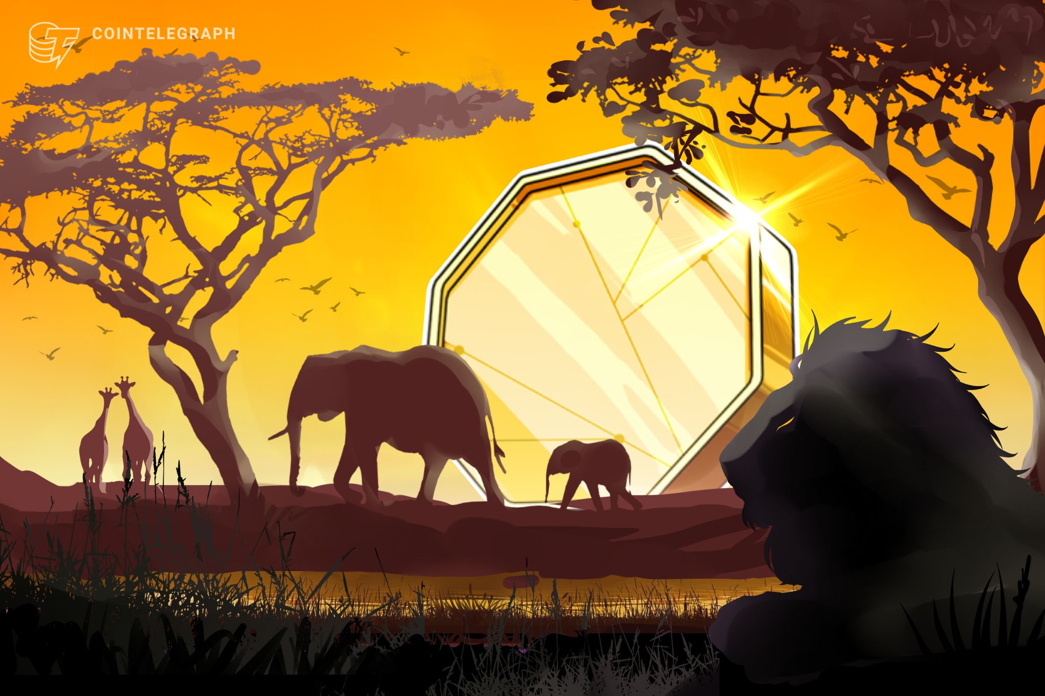 Zimbabwe yedi fintech projesini düzenleyici sandbox’a kabul etti