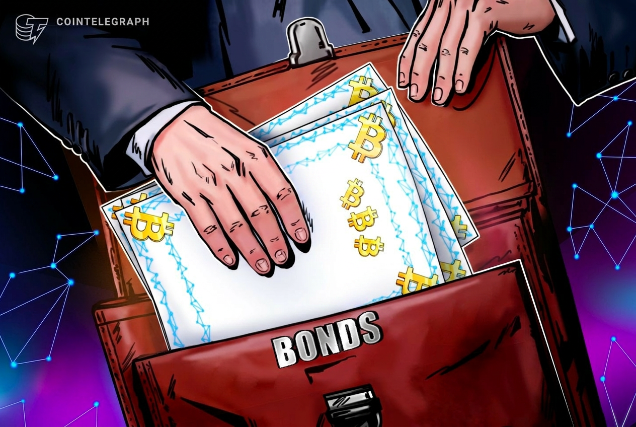 New Hampshire konseyi 100 milyon dolarlık Bitcoin tahvilini reddetti
