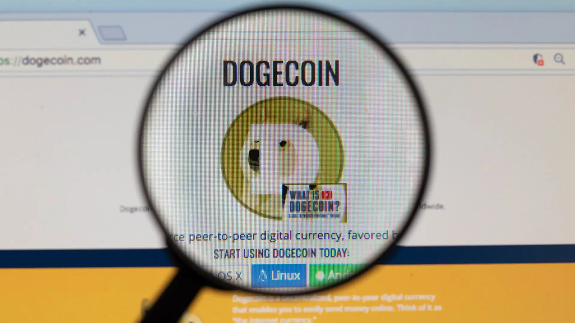 Dogecoin ile ilgili spekülasyonlar Ekim 2025 seviyelerine geri döndü. Fiyat yüzde 70 düştü