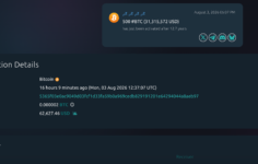 2013’ten beri hareketsiz olan bir Bitcoin cüzdanı 31 milyon dolar taşıdı ve tek şey bu değil