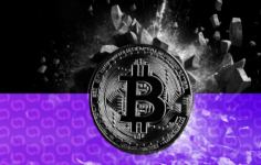 15 Yıldır El değmeyen Bitcoin Cüzdanı Aniden Hayata Döndü