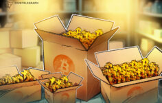 Bitcoin, BTC ve altının 100 günün en yüksek seviyelerine yaklaşmasıyla 77 bin dolar civarında destek arıyor