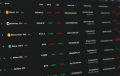 Kripto yatırımcıları piyasa değeri sıralamalarının ötesine geçip temel bilgilere dönüyor