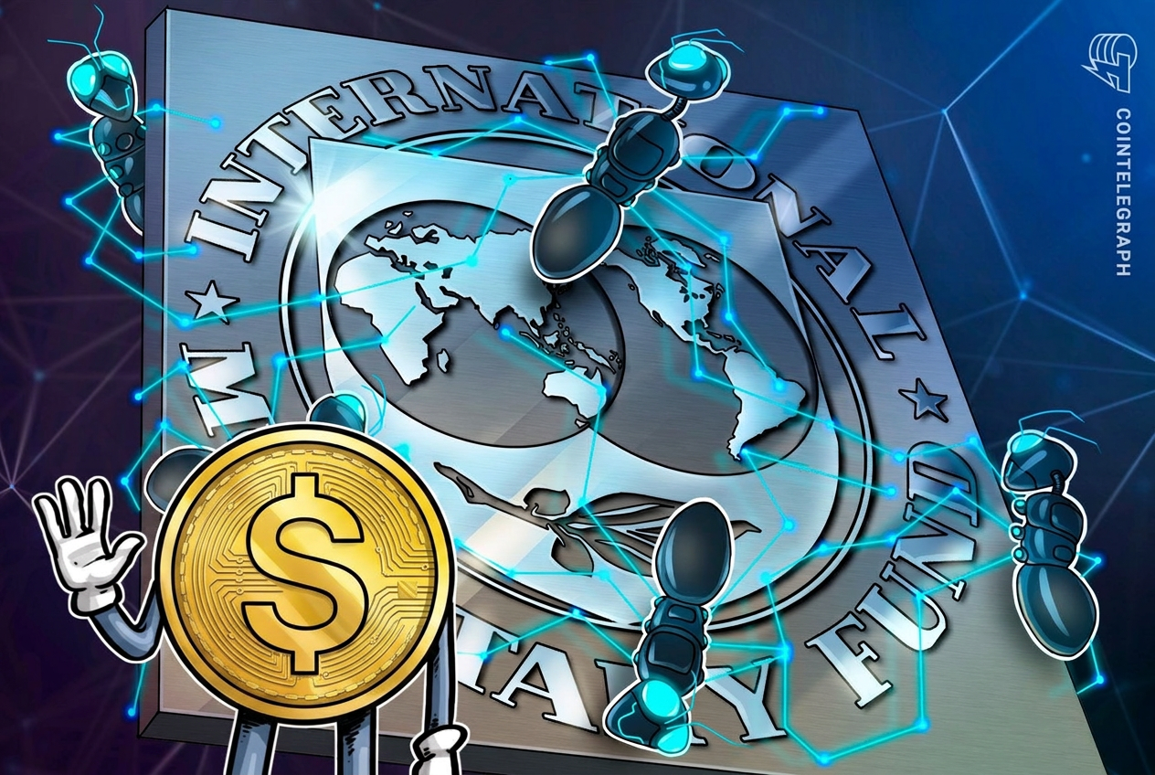 IMF: Yerli stablecoinler dolar destekli tokenlara olan talebi artırabilir