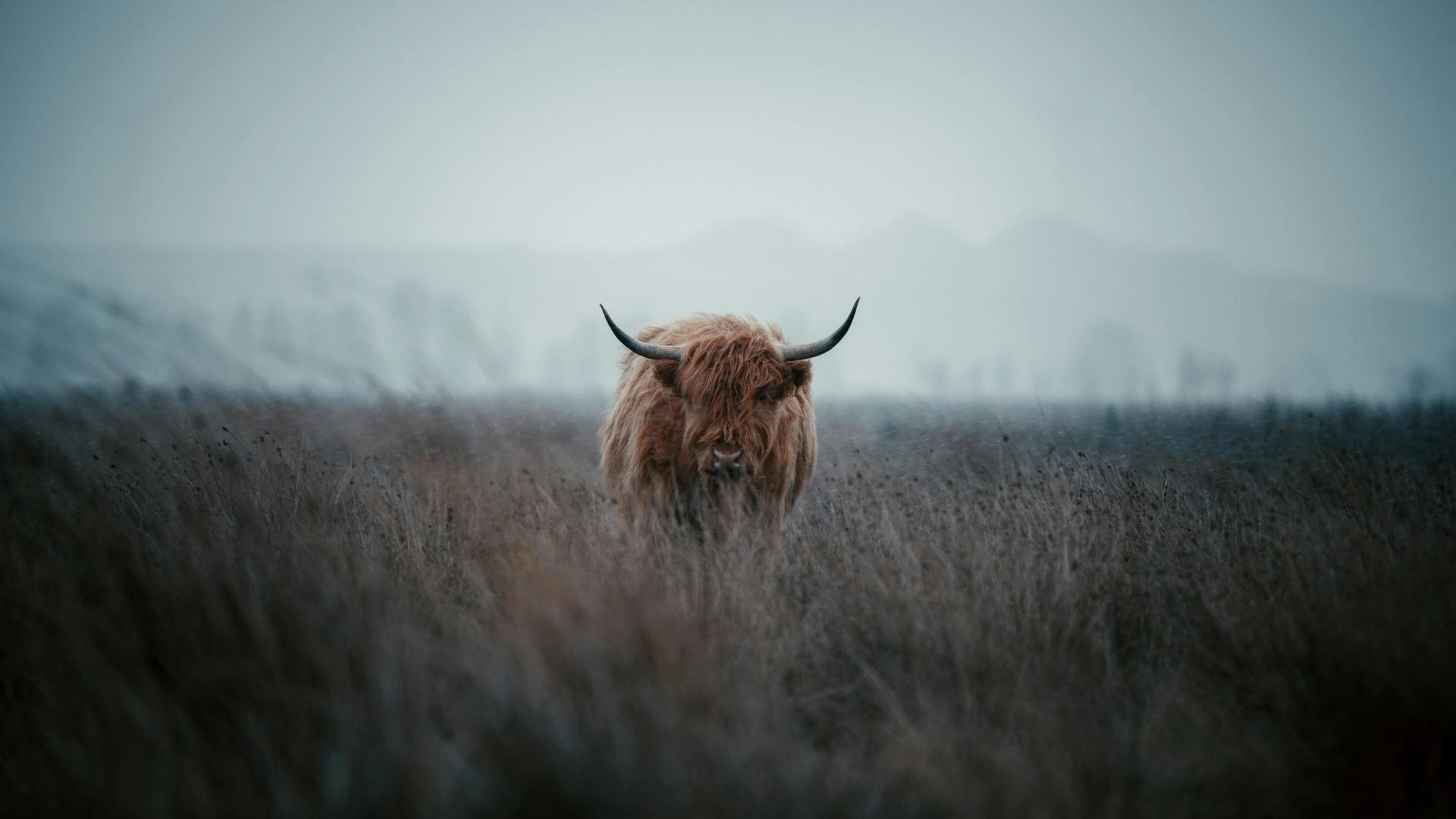 Bitcoin’s 44% gain in third quarter teases full-blown crypto bull run