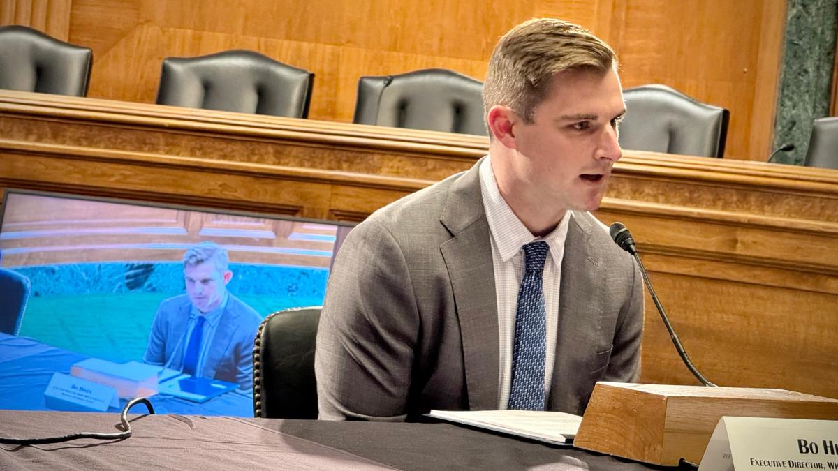 Senate’s top Democratic investigator looking into Tether payments to Bo Hines’ firm