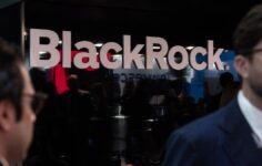 BlackRock seeks to shield bitcoin investors from losses after rival fund weathers 50% crash